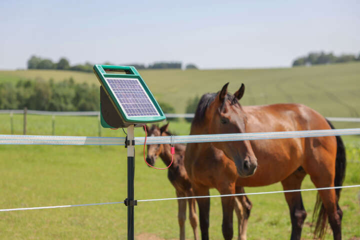 AKO Weidezaunseil PlatinumLine